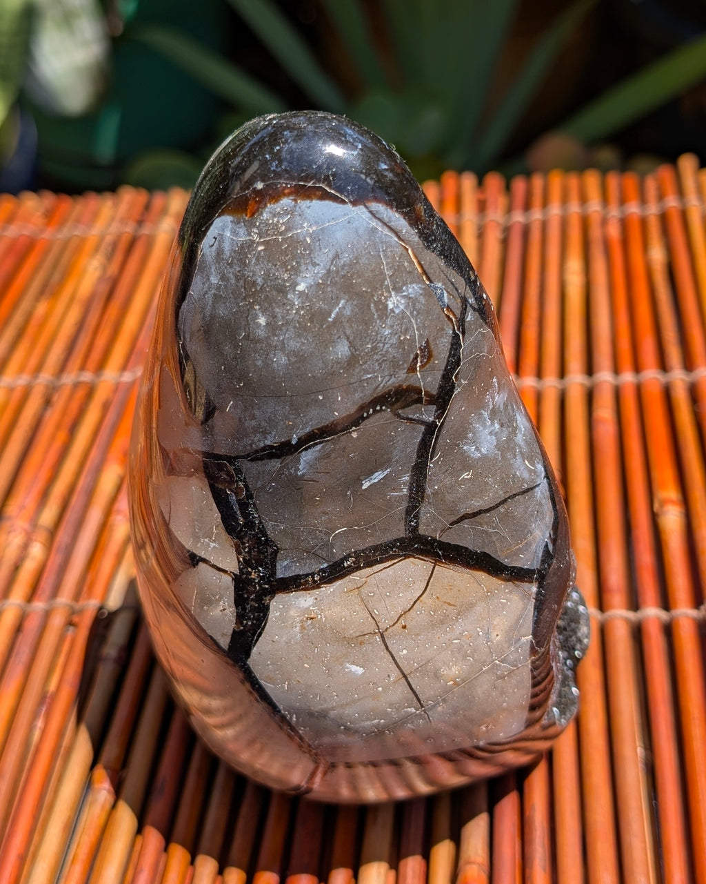 Septarian Dragon Egg B