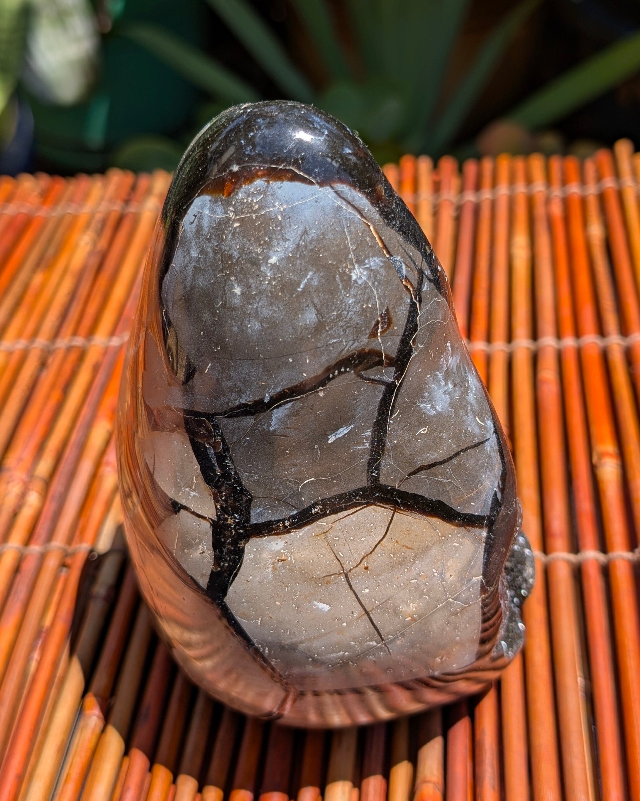 Septarian Dragon Egg B