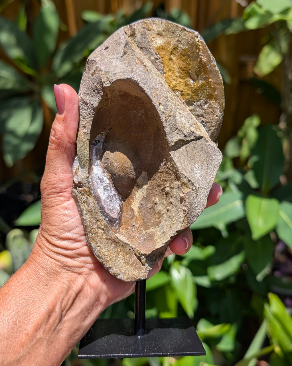 Amethyst Druzy Cluster on stand A
