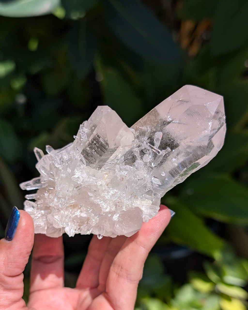 Gorgeous Brazilian Clear Quartz Cluster - Opt. B