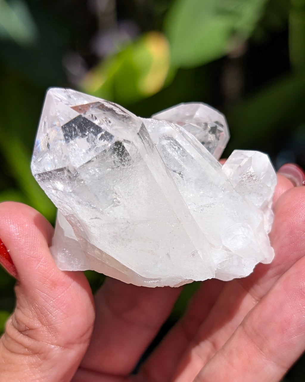 Amazing Clear Quartz Cluster - Opt. D