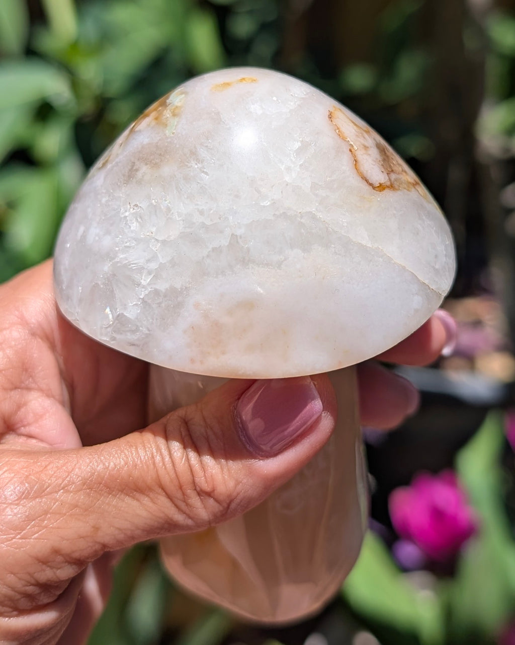 Flower Agate Mushroom E