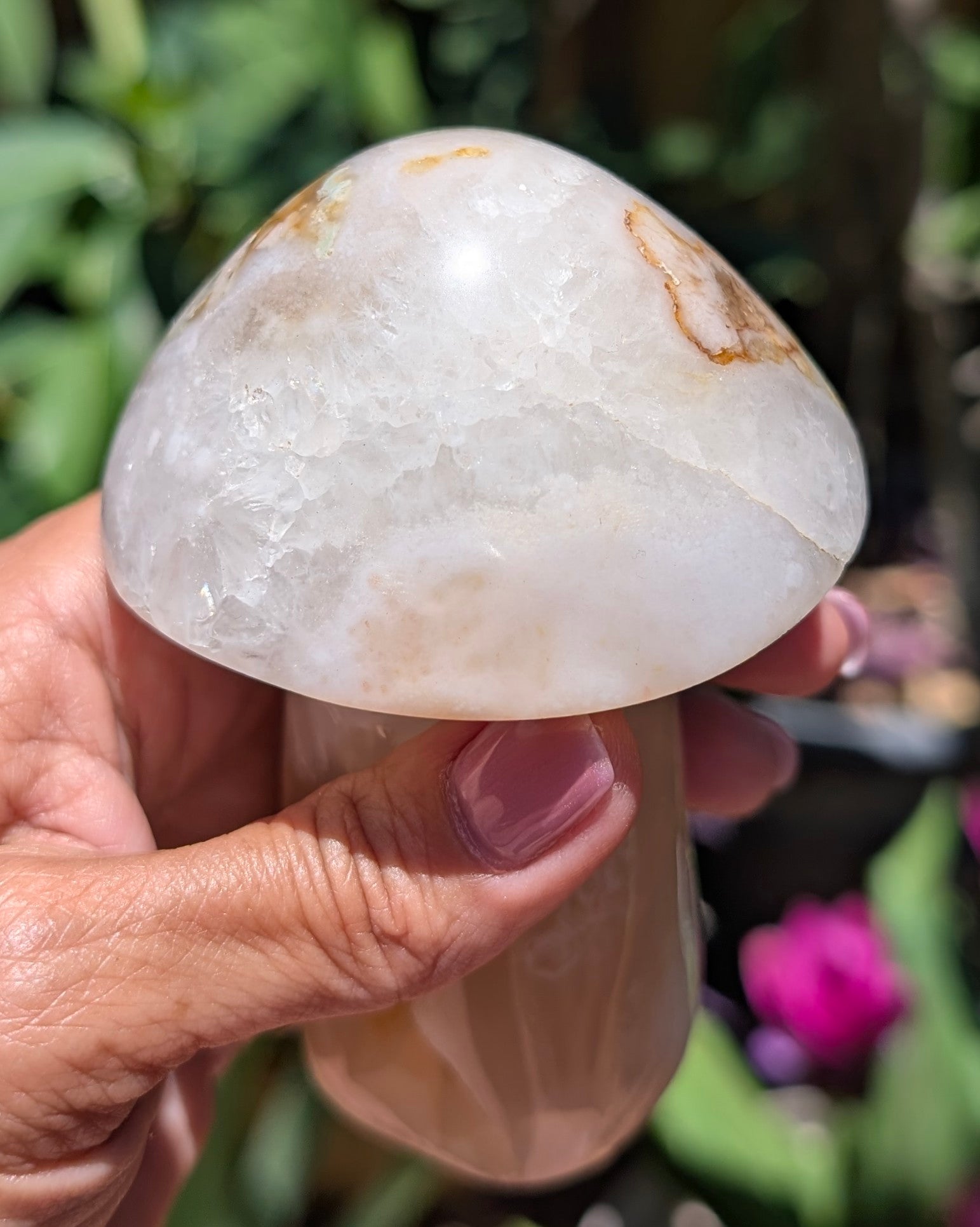 Flower Agate Mushroom E