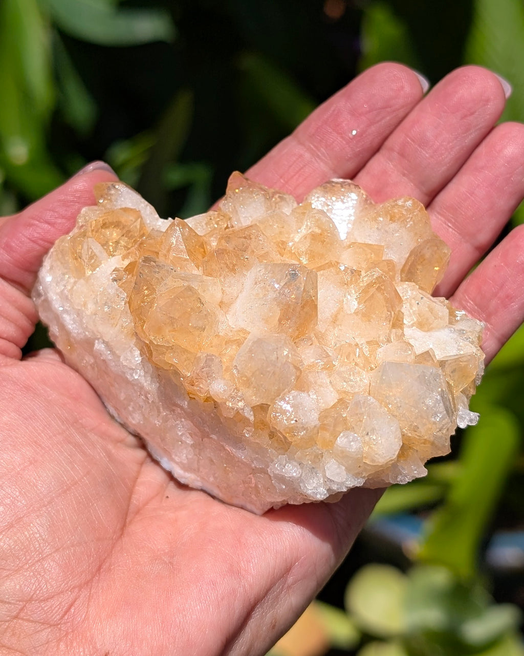 Citrine Cluster C
