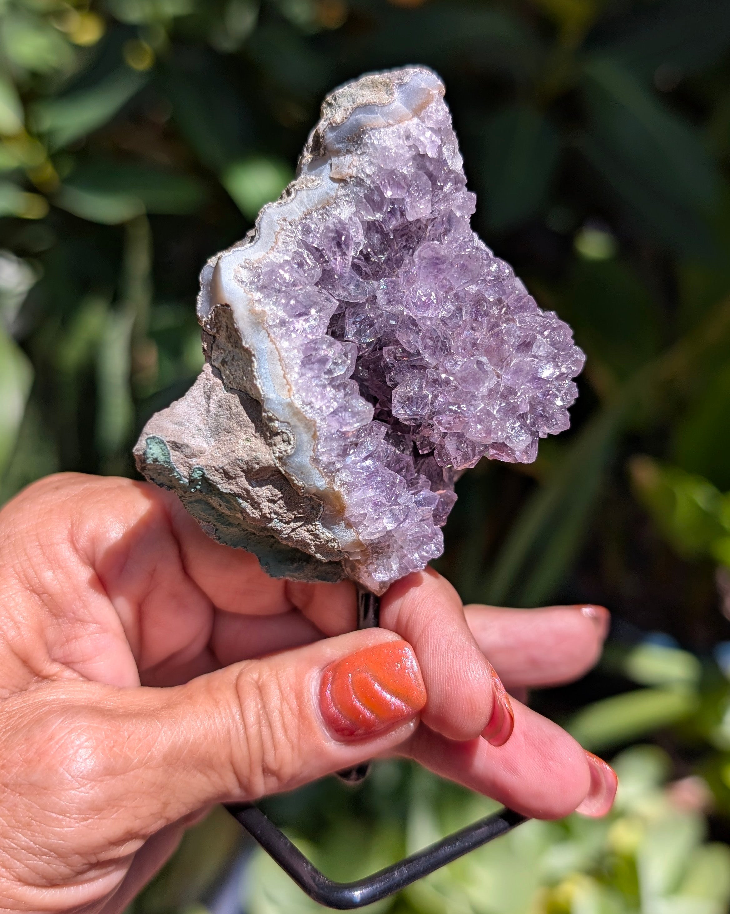 Druzy Amethyst on metal stand - Opt. C
