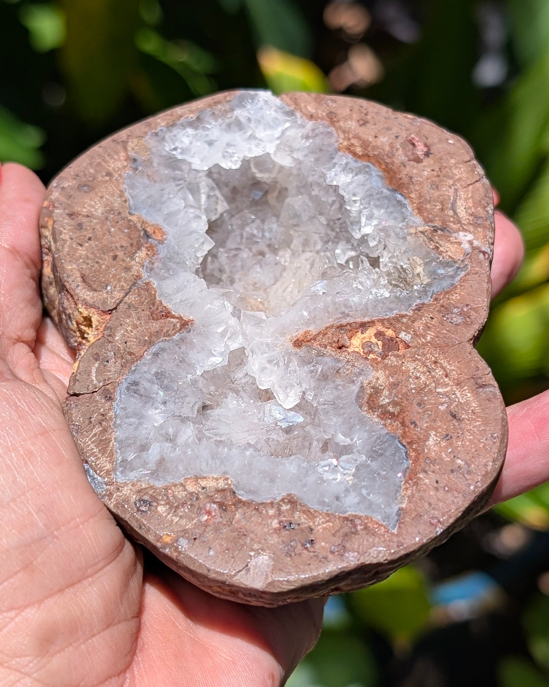 Fluorescent Thunderegg Geode Opt. A