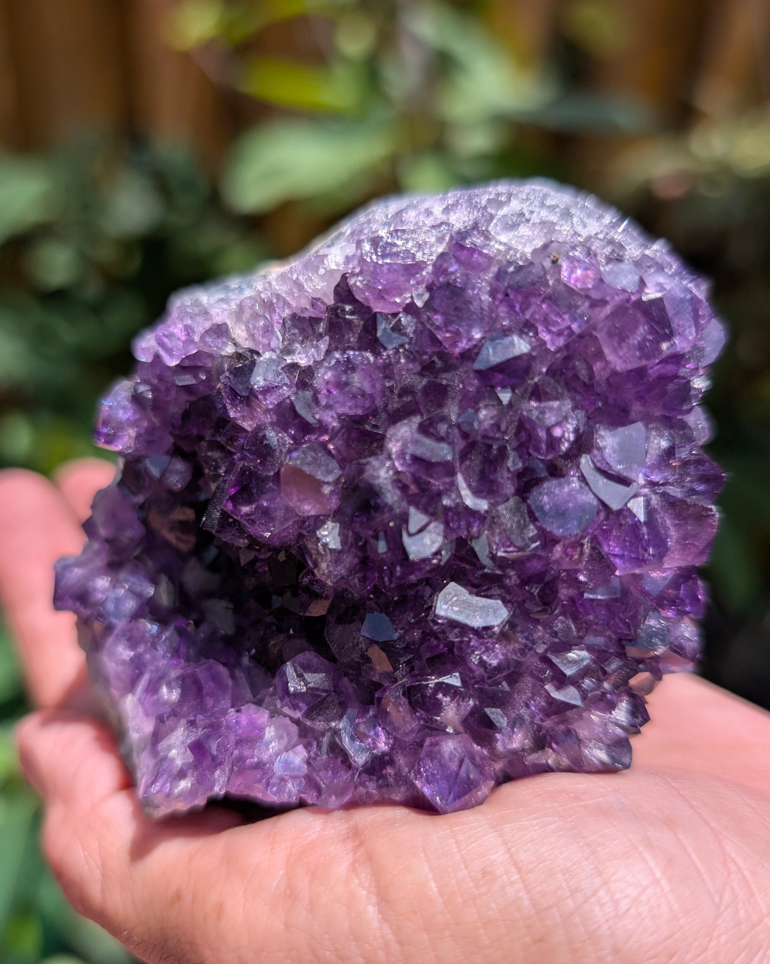 Amethyst Druzy Cluster F
