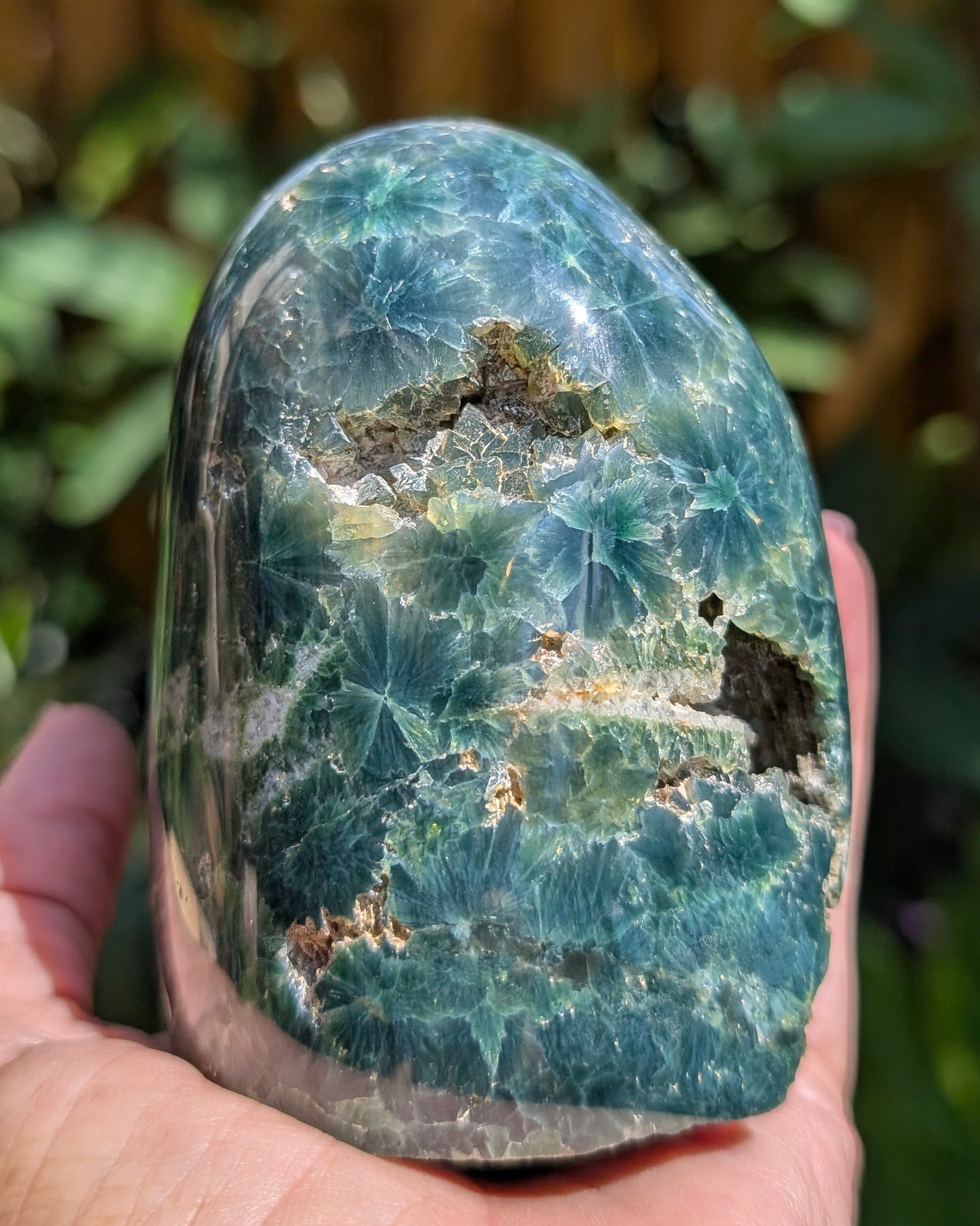 Ocean Jasper D