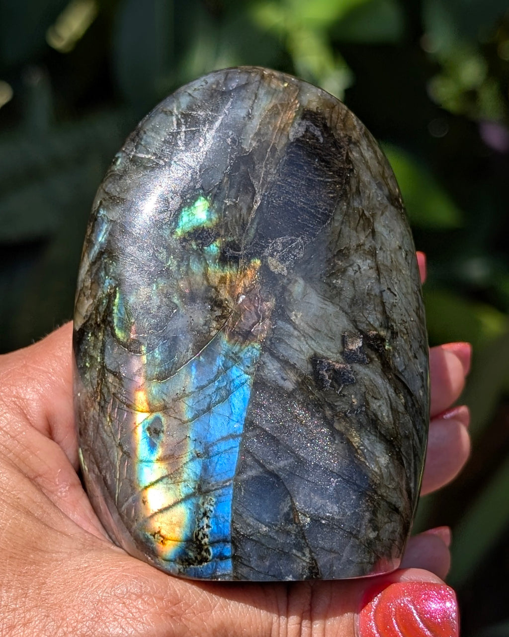Spectrolite Labradorite Freeform - Opt. G