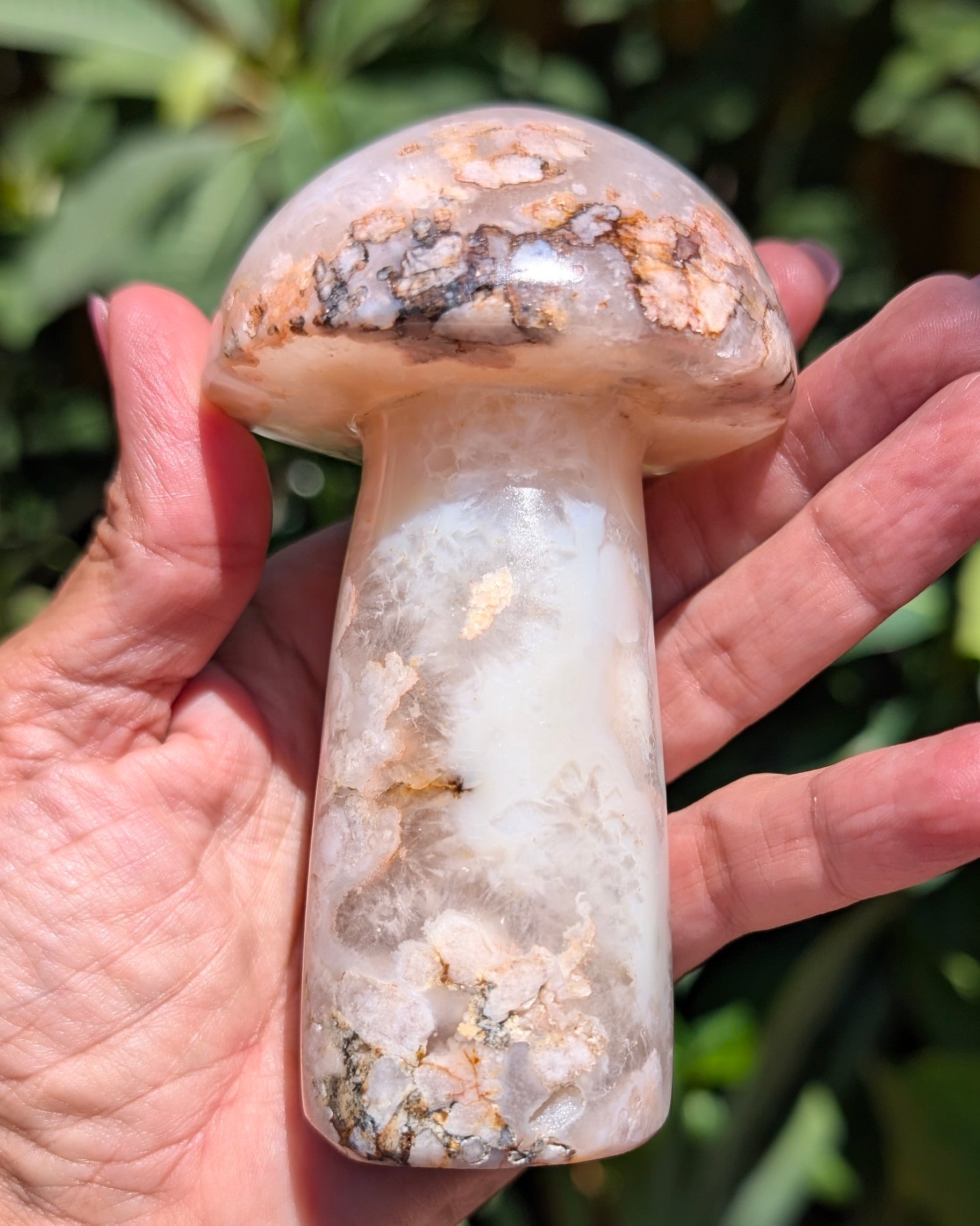 Flower Agate Mushroom F