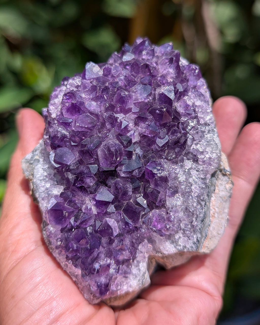 Amethyst Druzy Cluster F