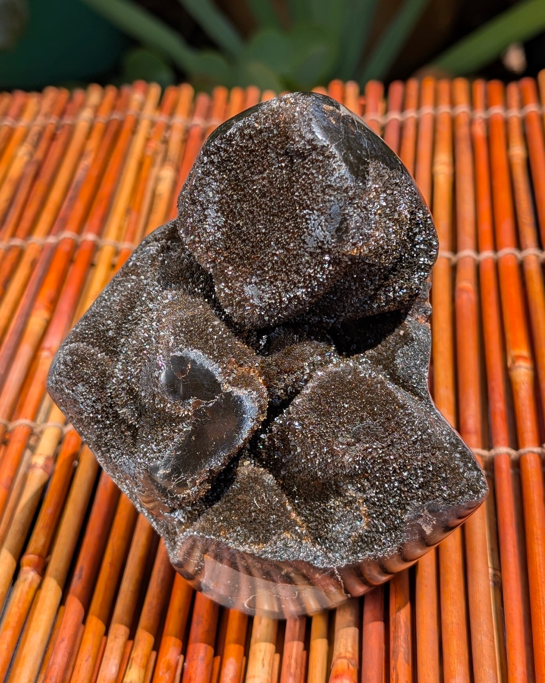 Septarian Dragon Egg C