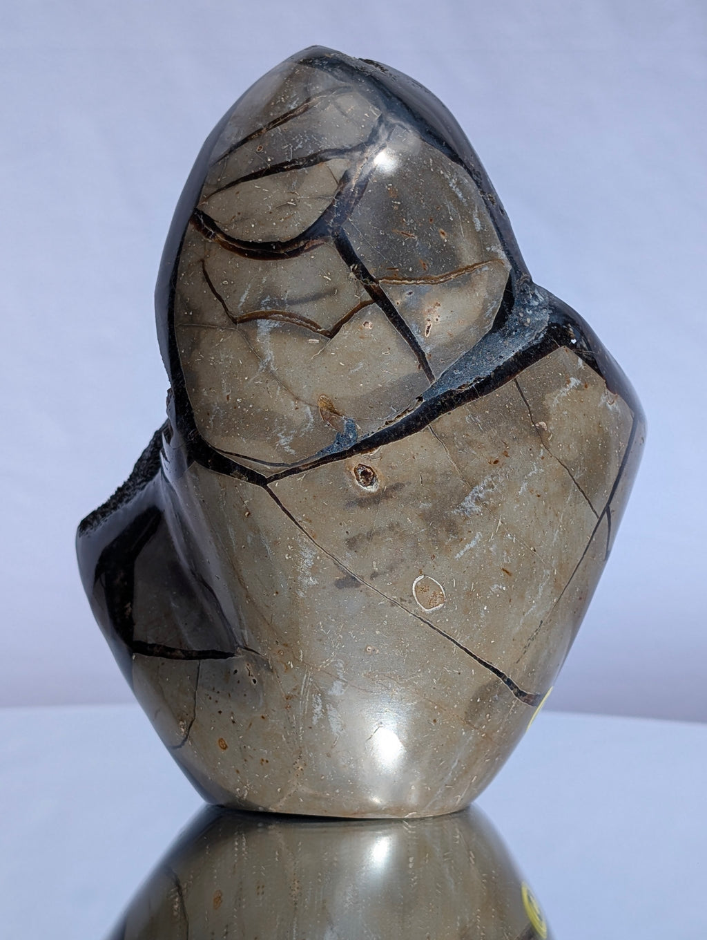 Septarian Dragon Egg C