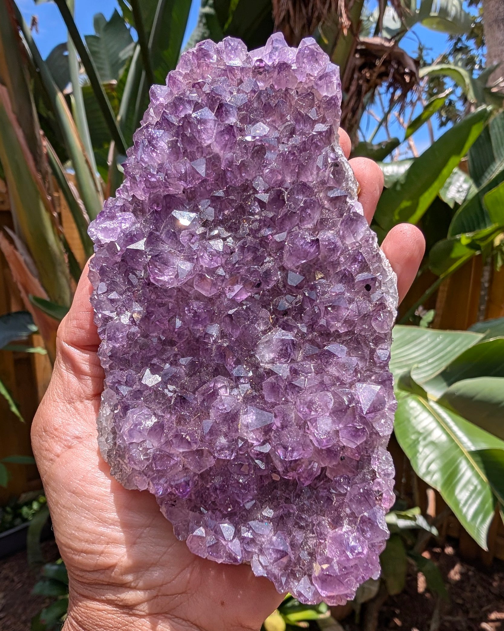 Amethyst Cluster E