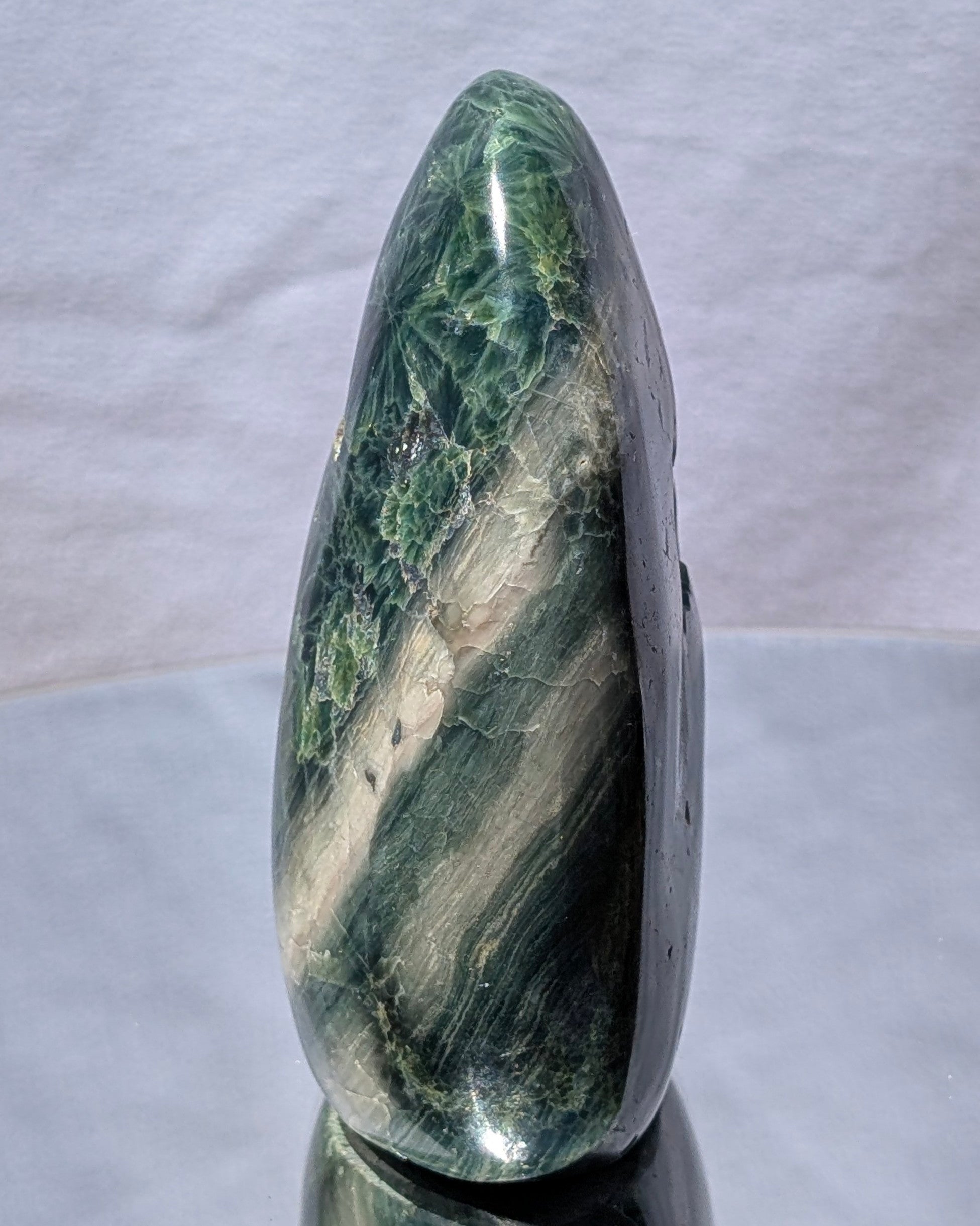 Ocean Jasper E