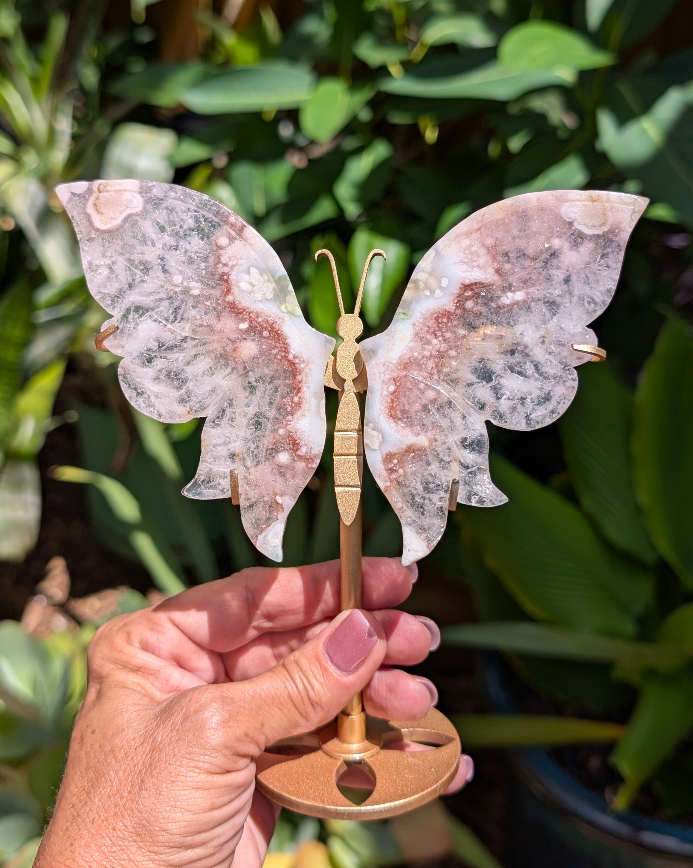Flower Agate Butterfly A