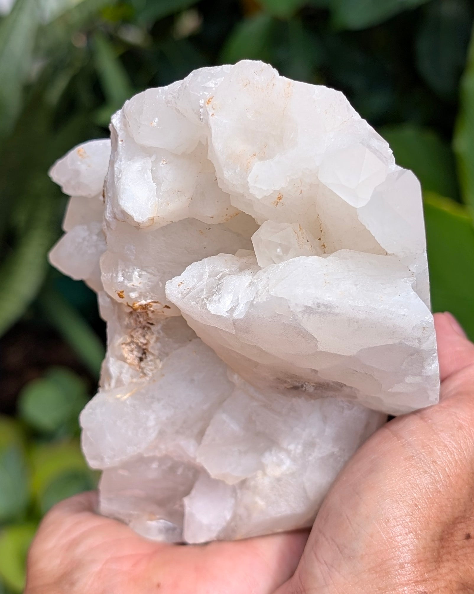 Quartz Skull with Feather Headdress A