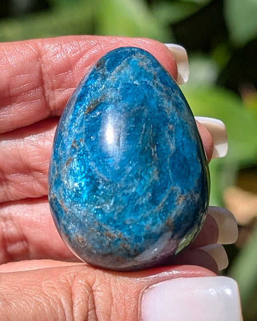 Apatite Egg - Opt. K