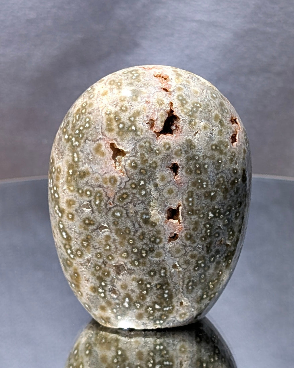 Ocean Jasper C