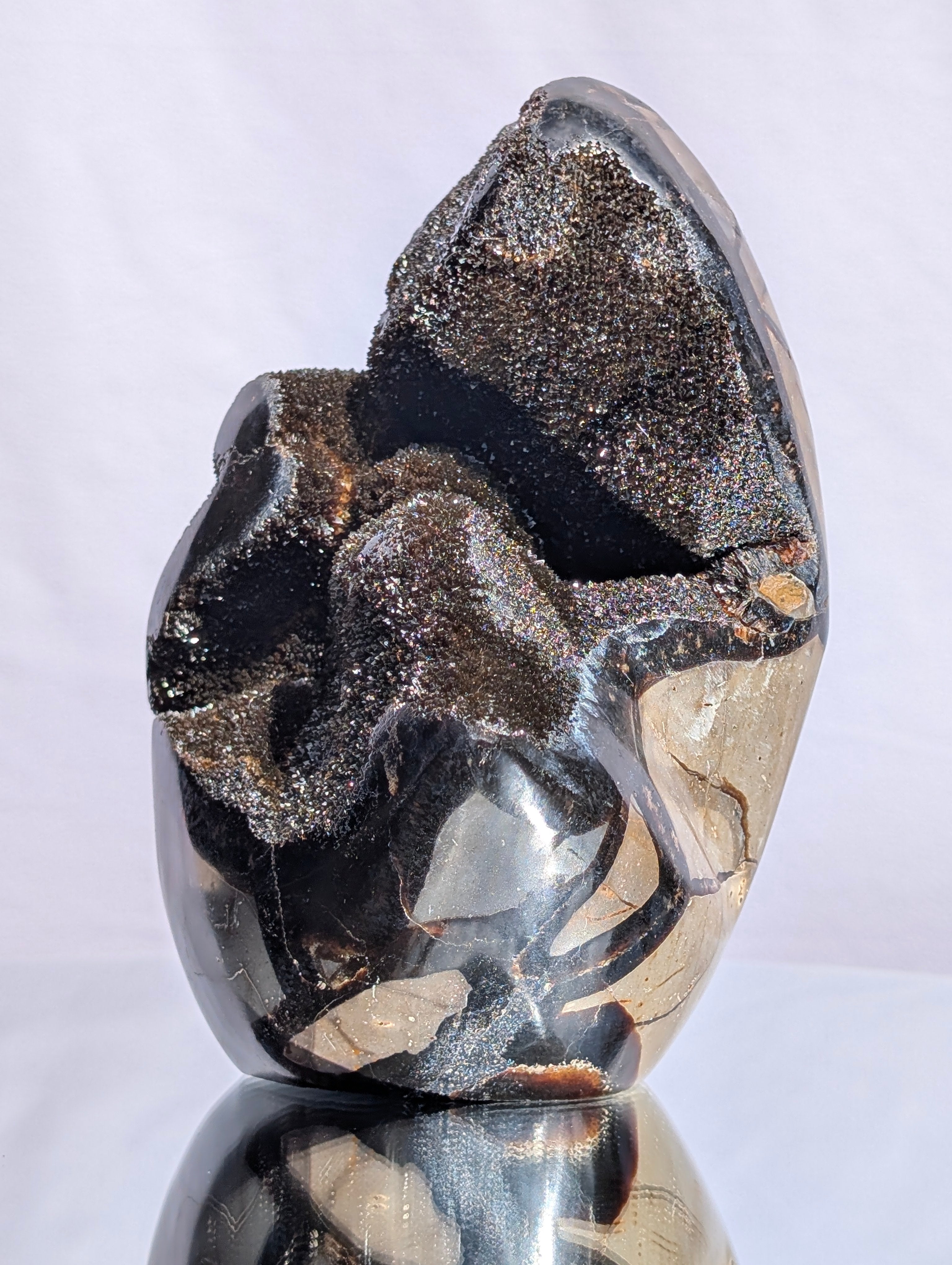 Septarian Dragon Egg C
