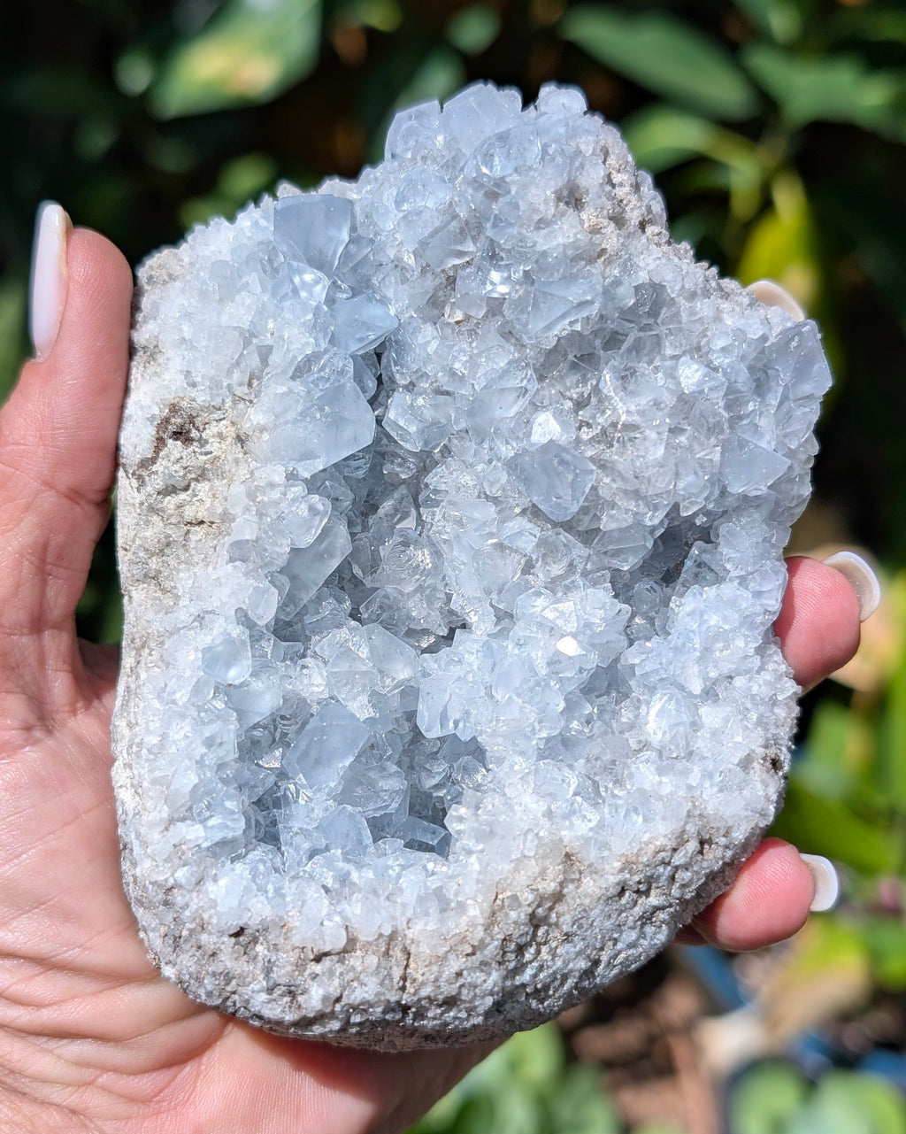 Celestine Cluster - Opt G