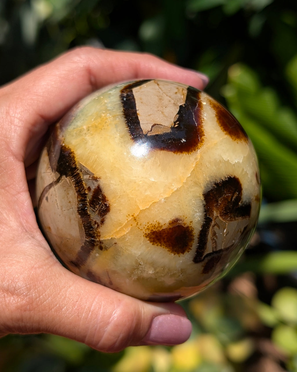 Septarian Dragon Stone Sphere A