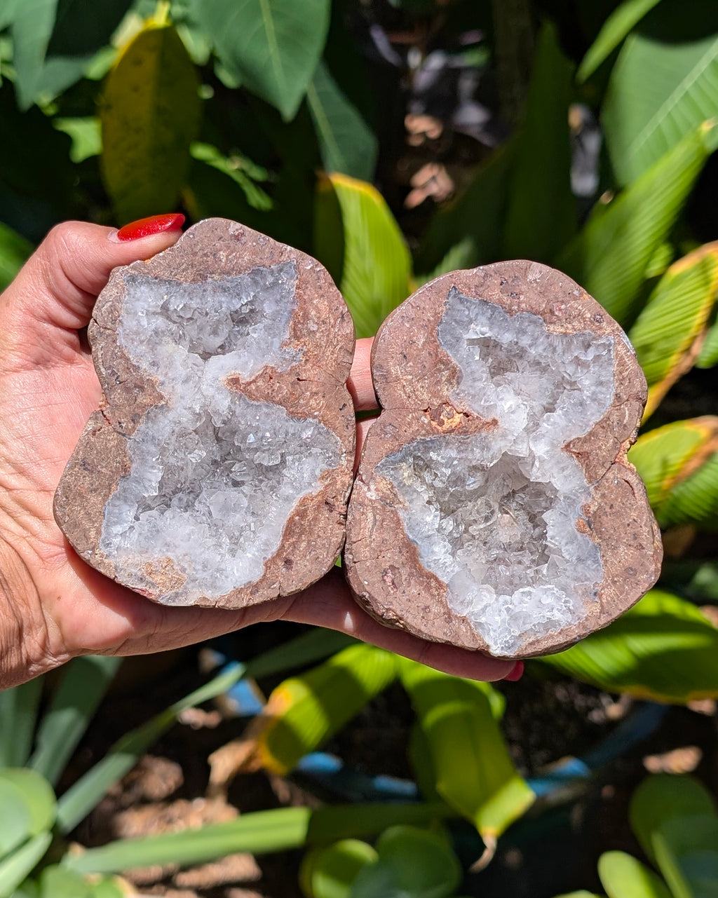 Fluorescent Thunderegg Geode Opt. A