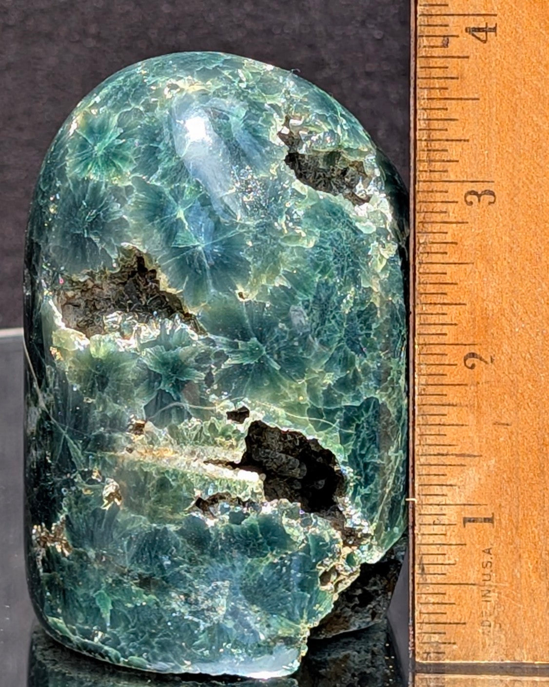 Ocean Jasper D