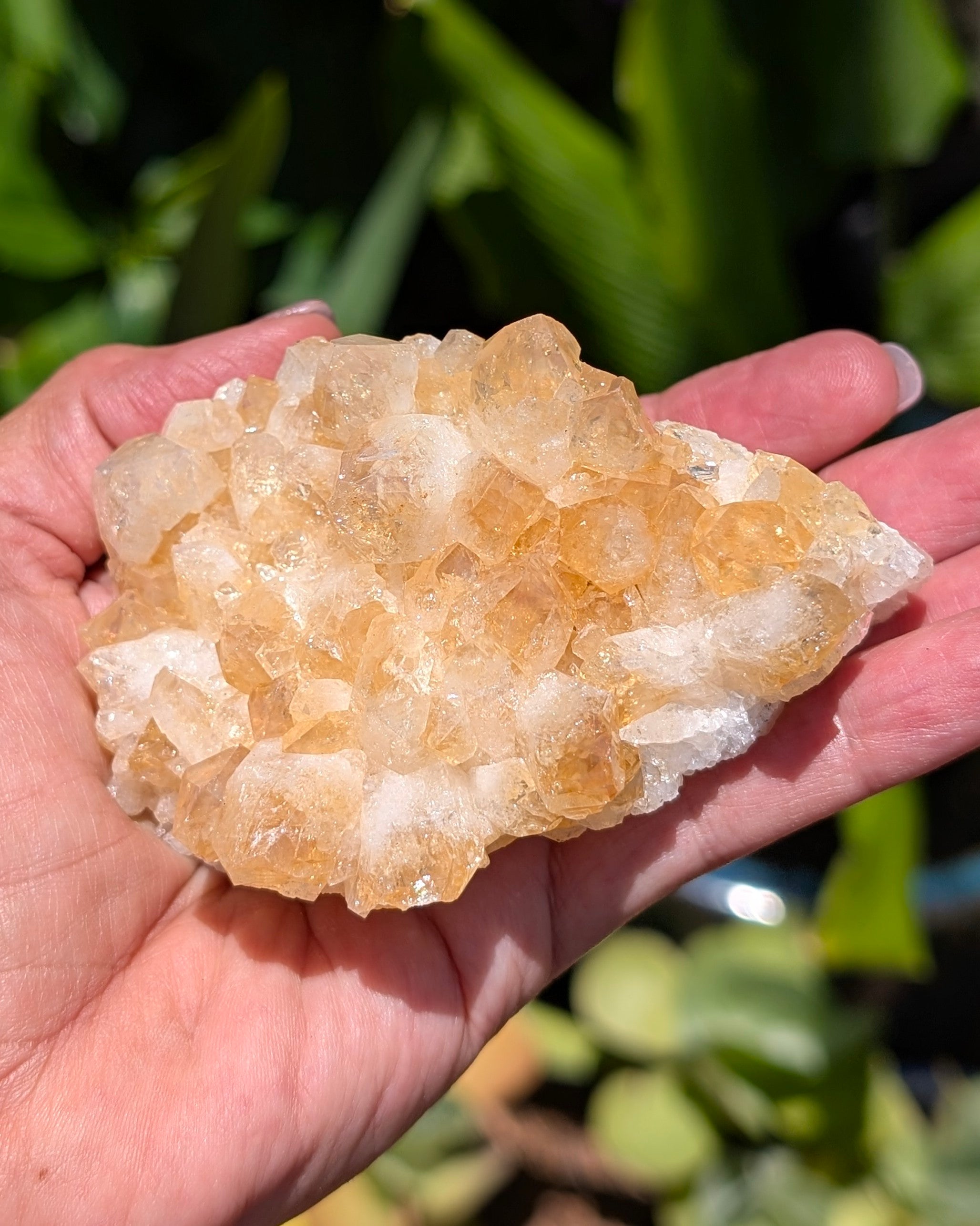 Citrine Cluster C