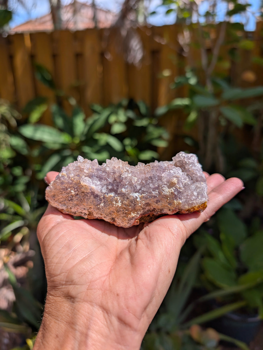 Amethyst Tarazout Cluster D