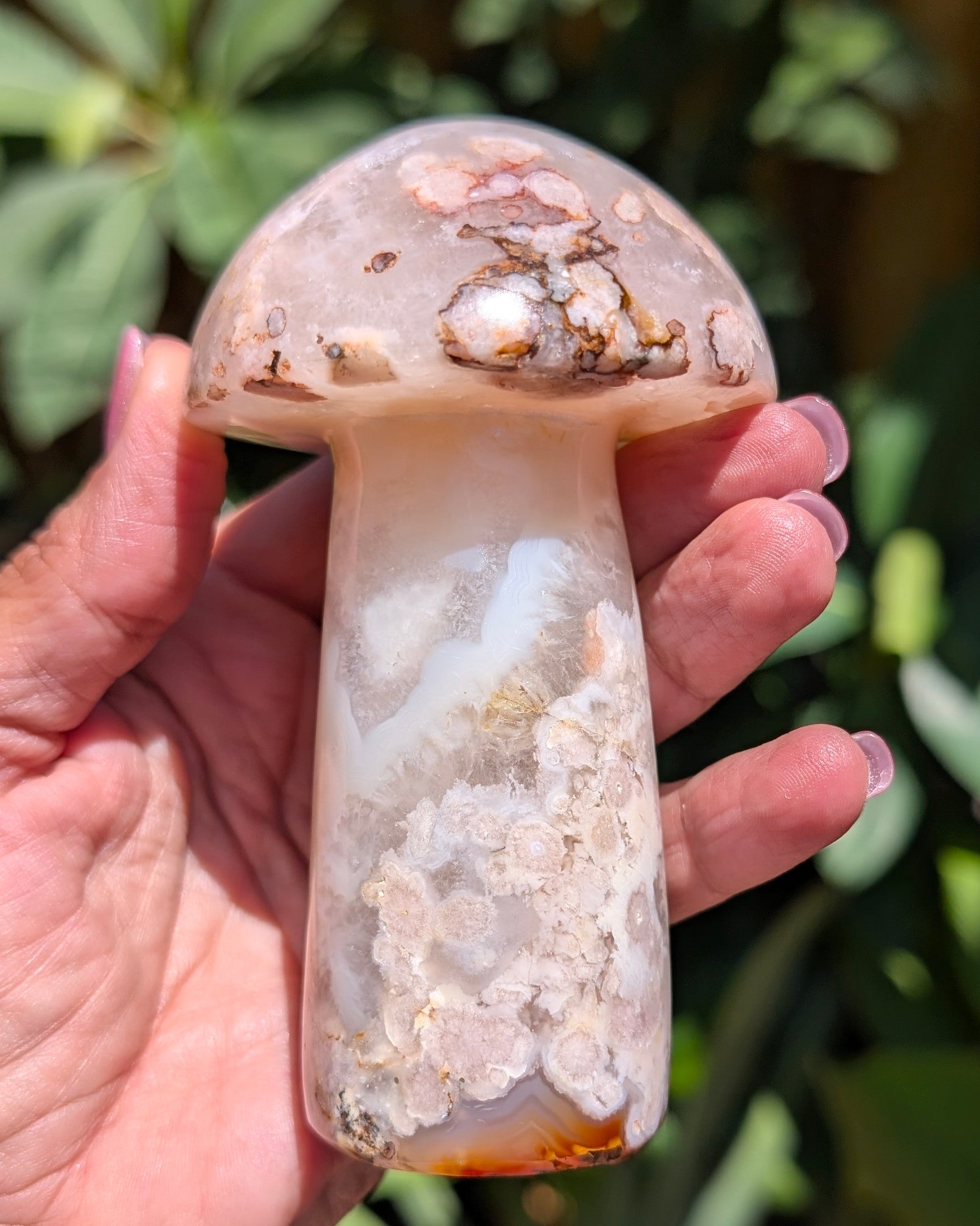 Flower Agate Mushroom F