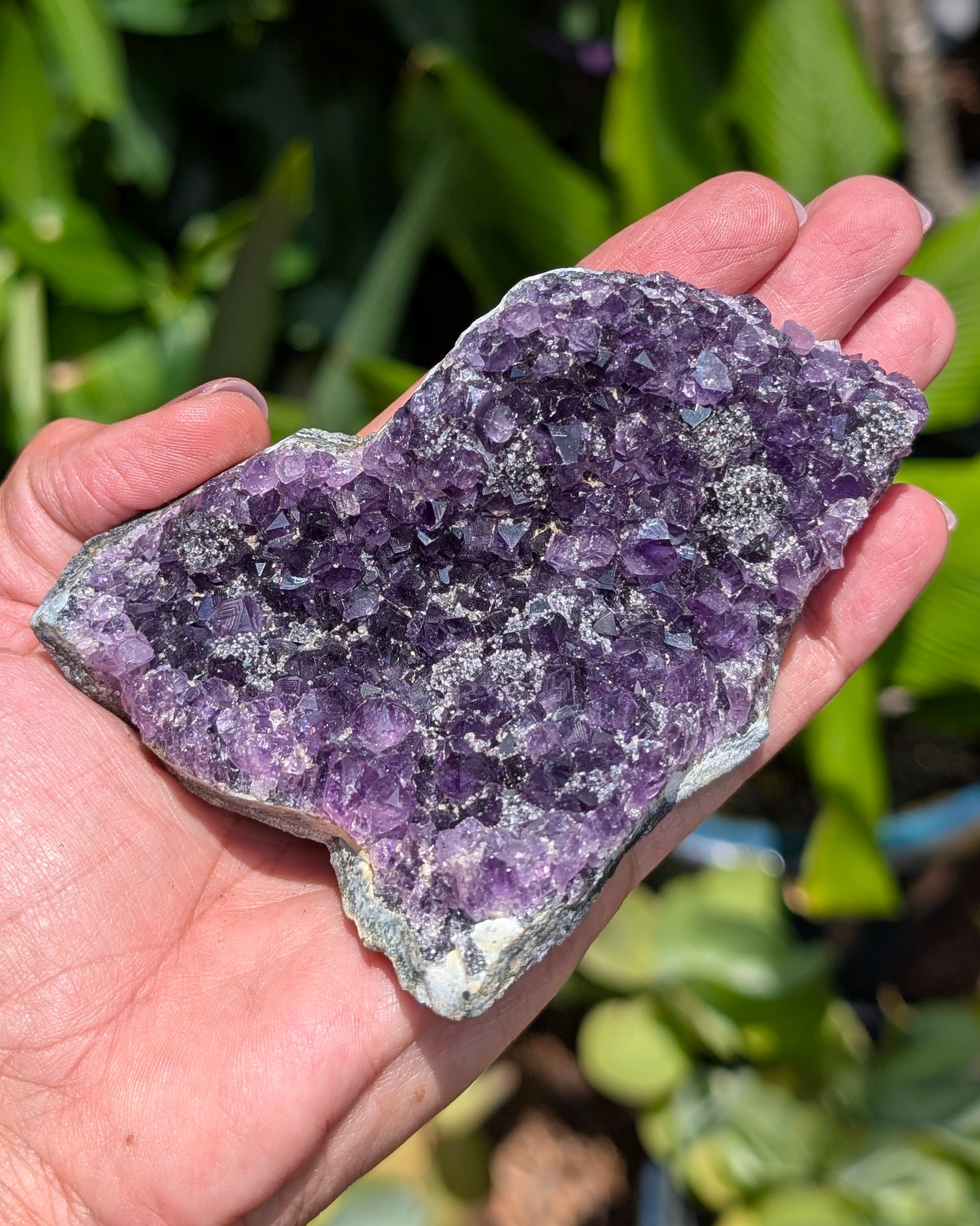 Amethyst Druzy Cluster G