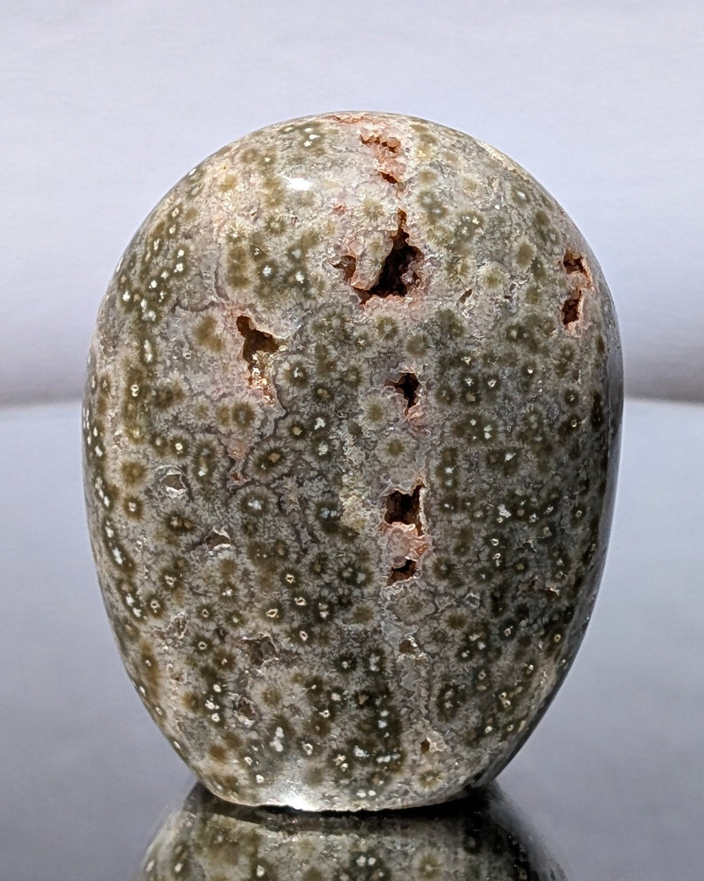 Ocean Jasper C