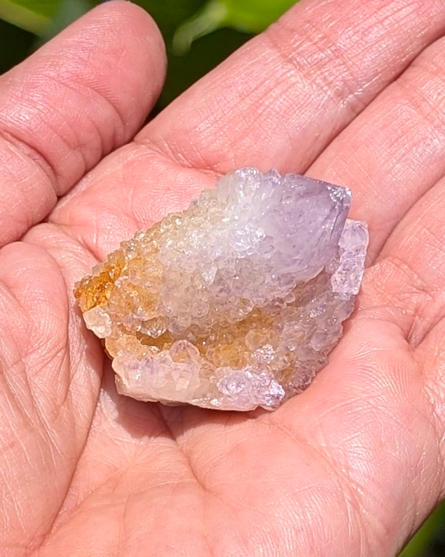 Petite Spirit Quartz - Opt. C