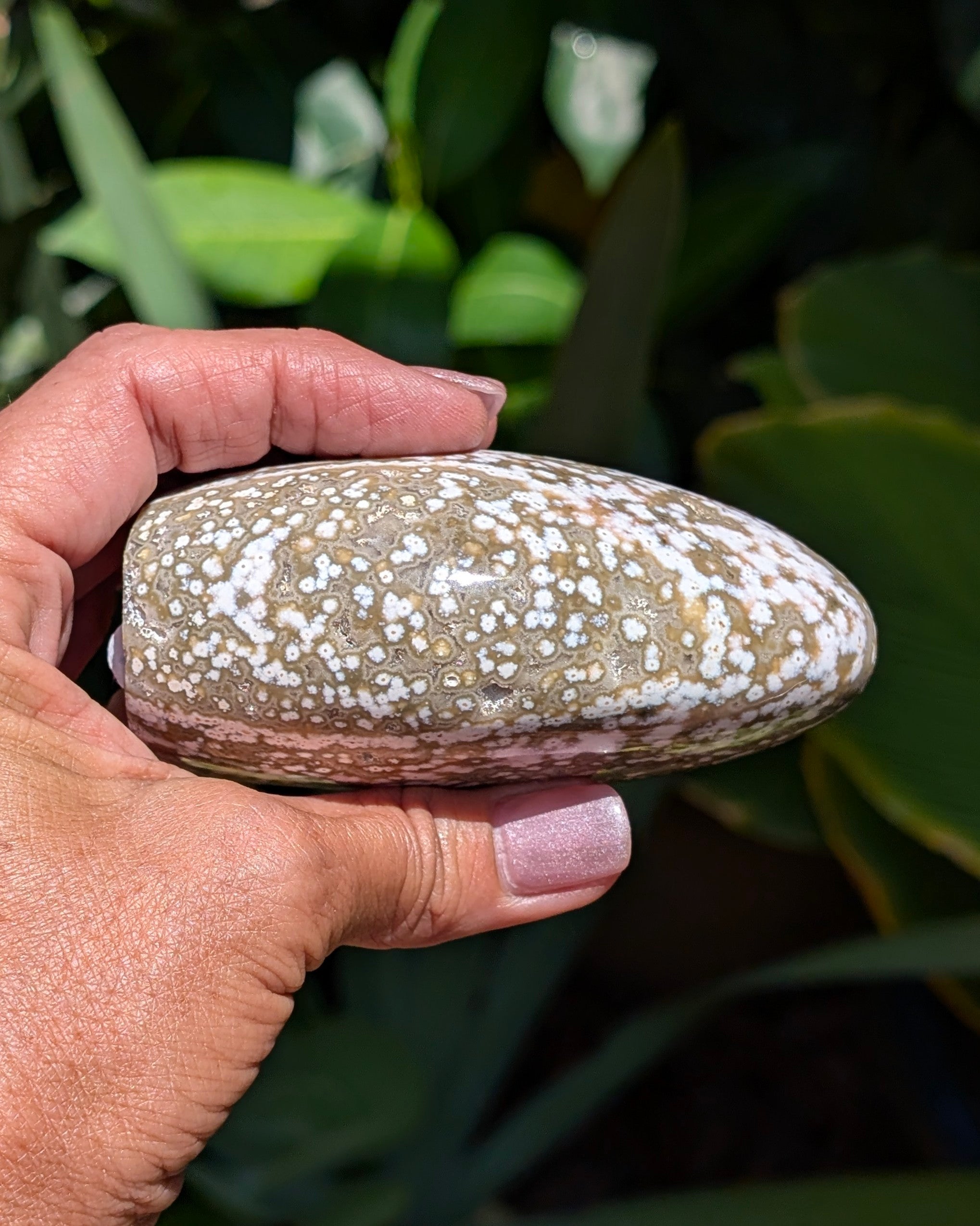 Ocean Jasper B