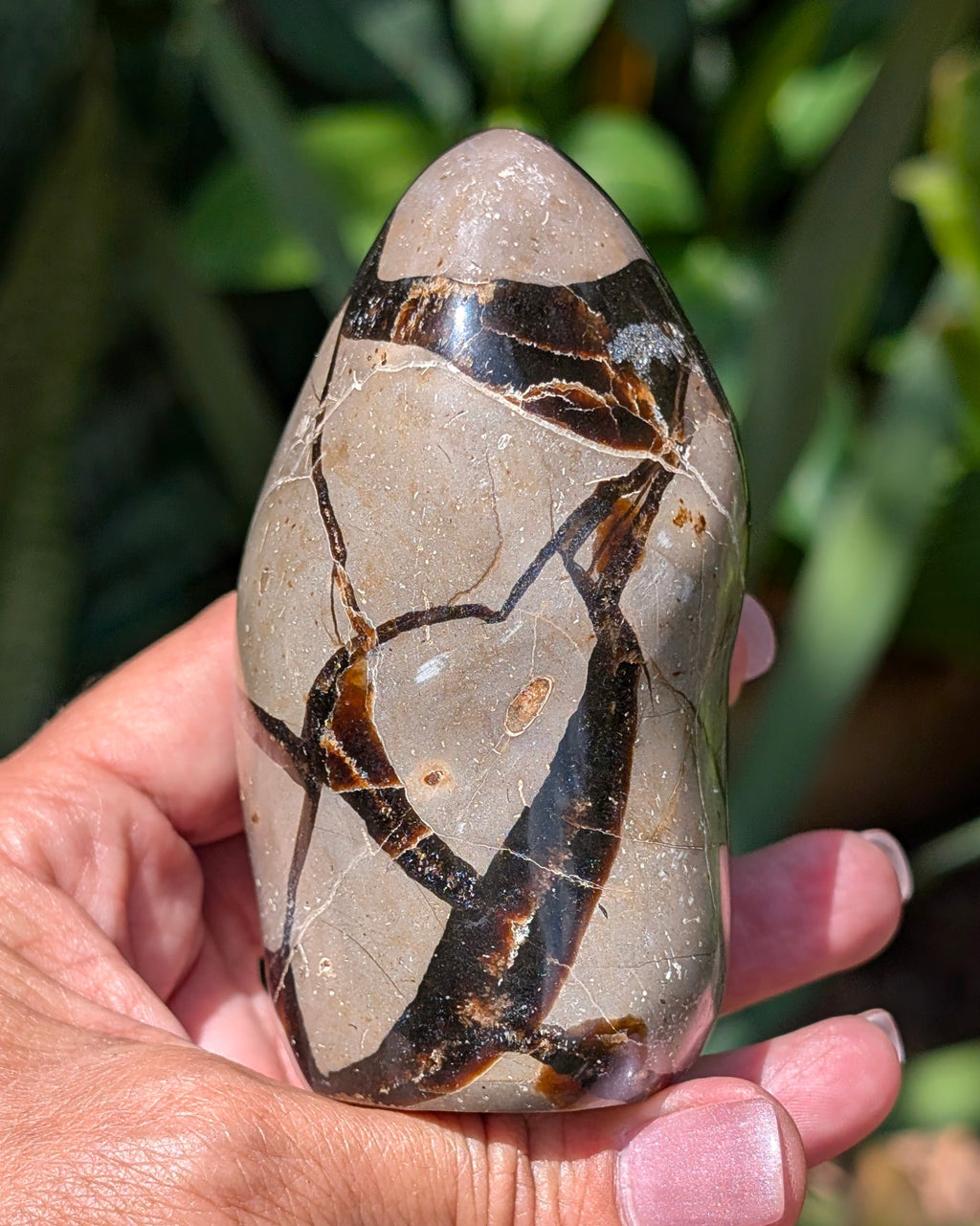 Septarian Dragon Egg E
