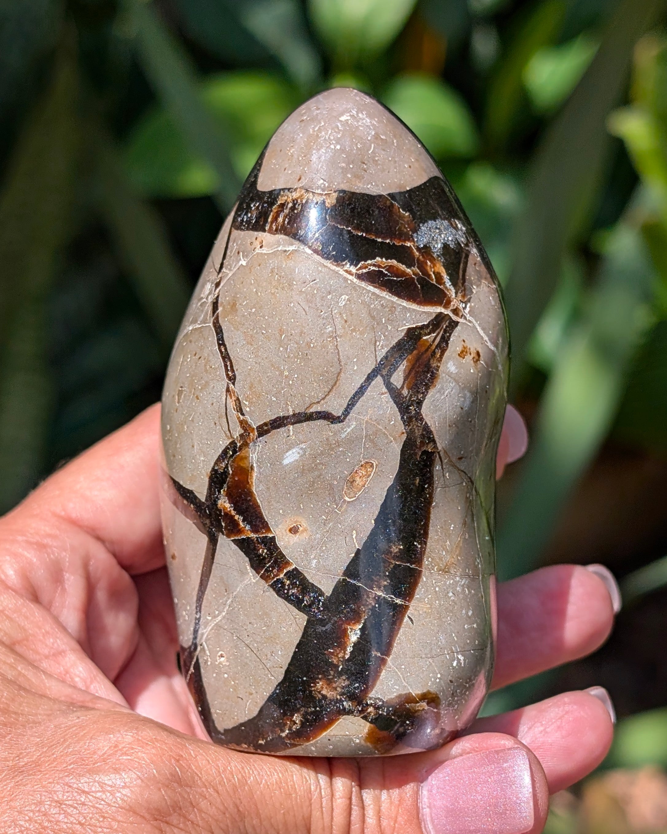 Septarian Dragon Egg E