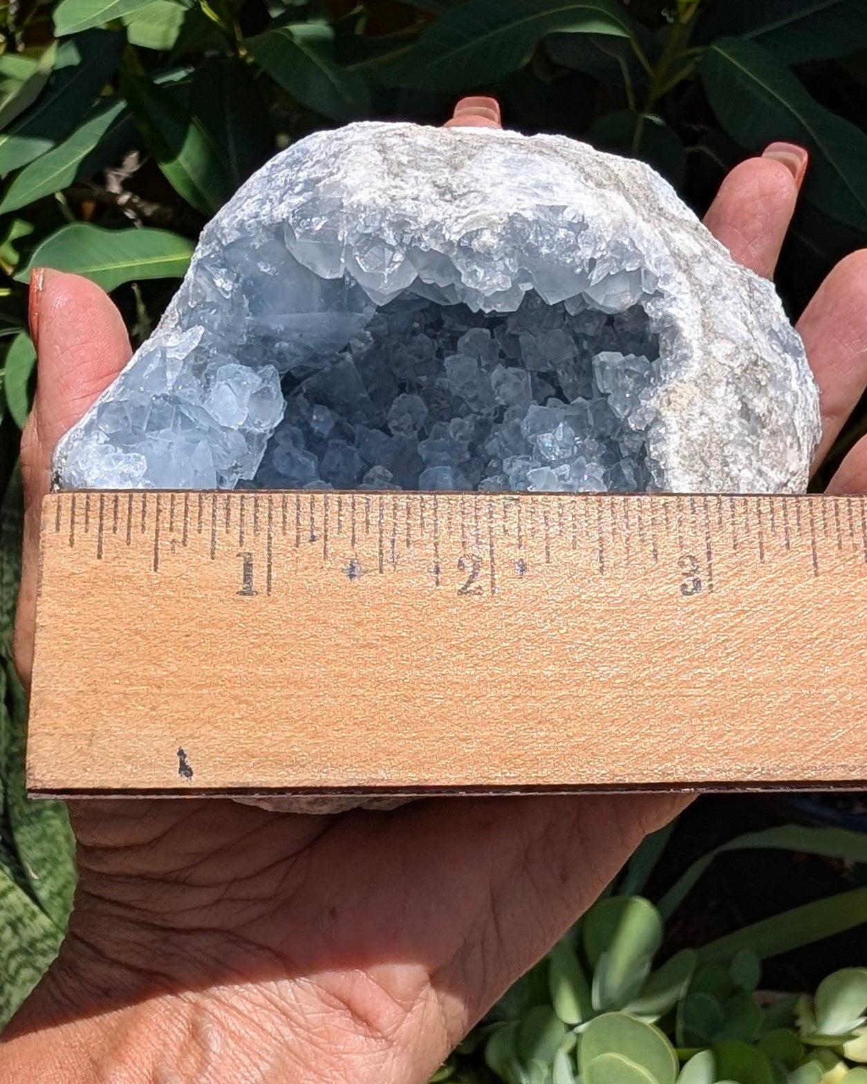 Heavenly Blue Celestite Geode - Opt. I