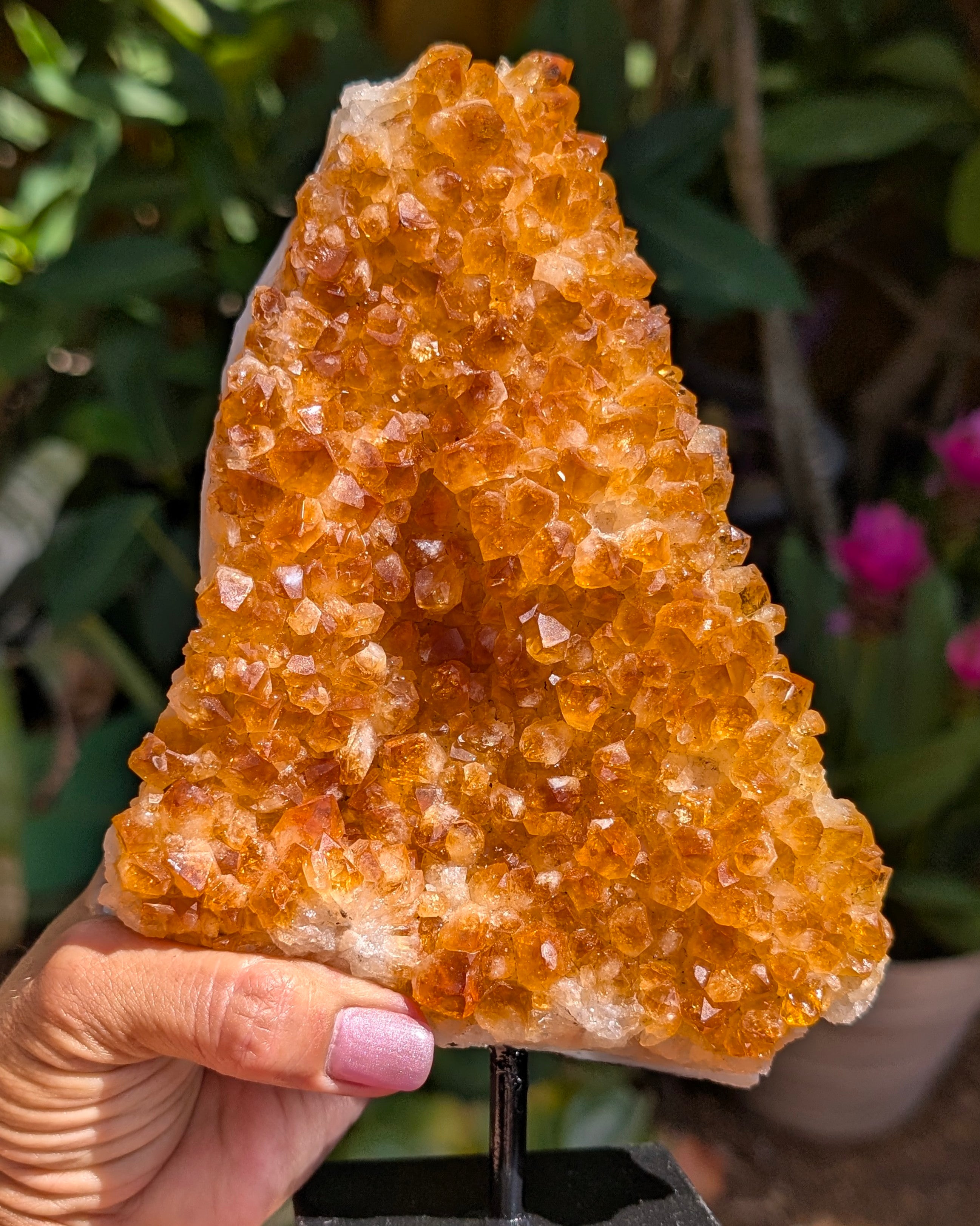 Citrine Cluster E