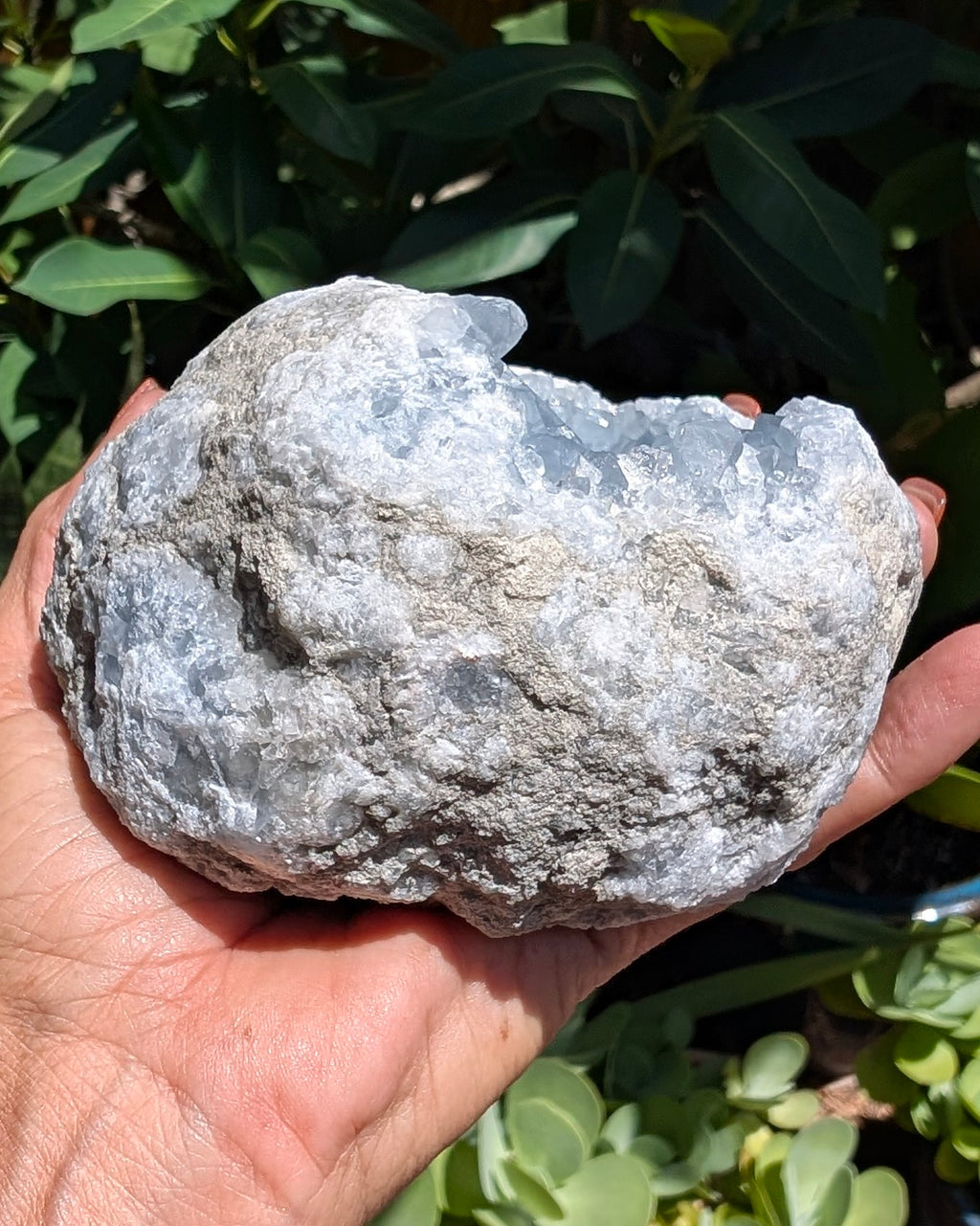 Heavenly Blue Celestite Geode - Opt. I