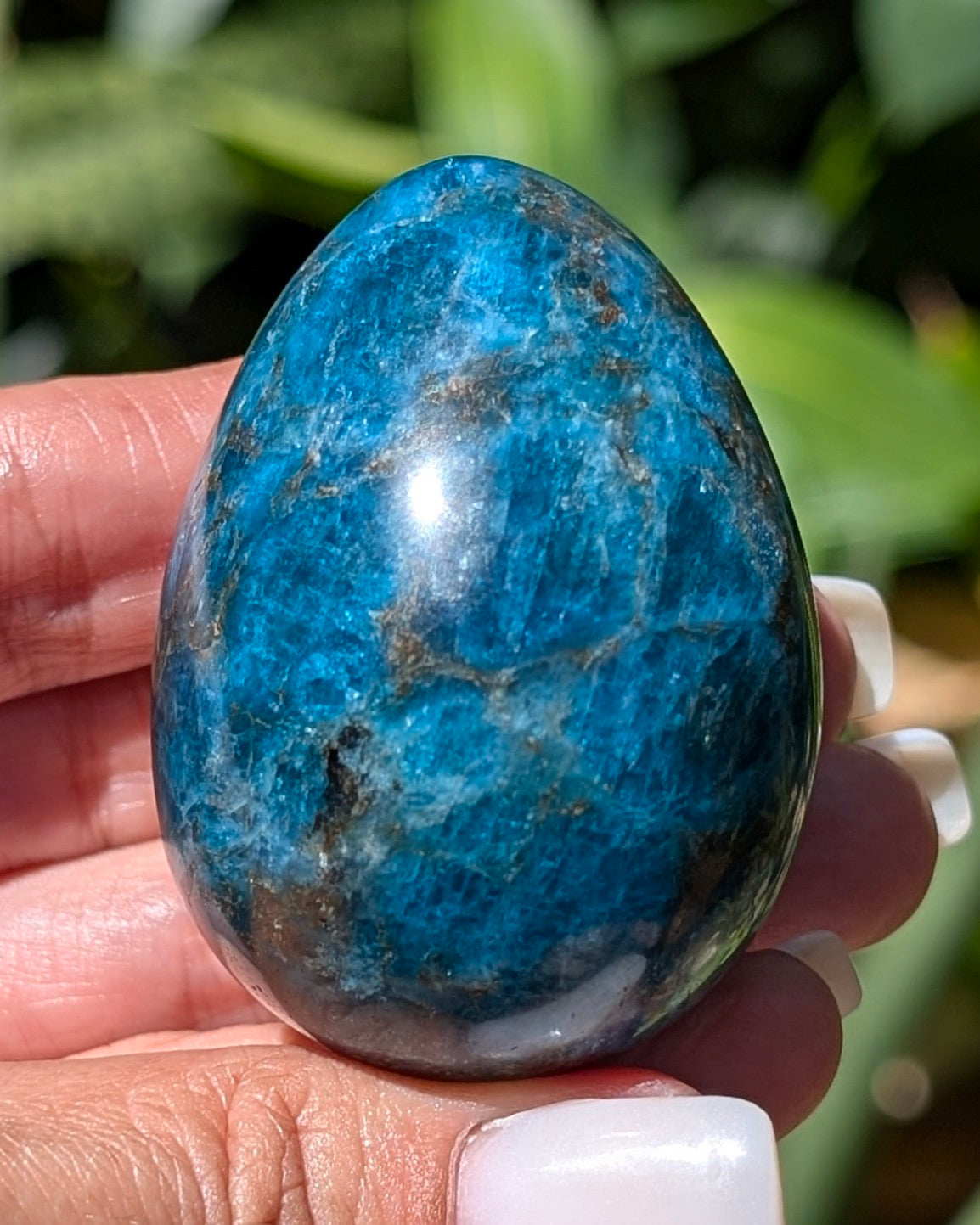 Apatite Egg - Opt. H