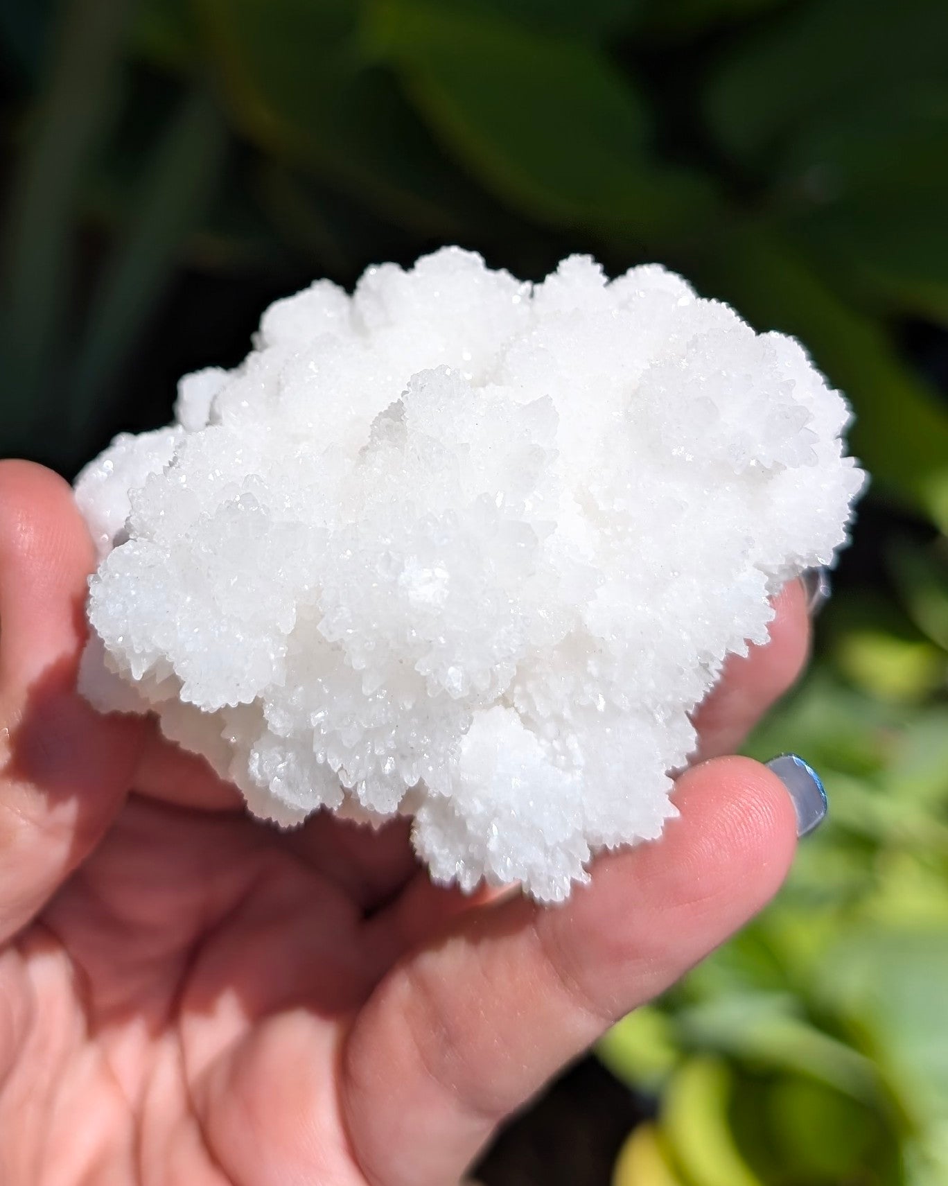 Fluorescent Aragonite - Opt. J