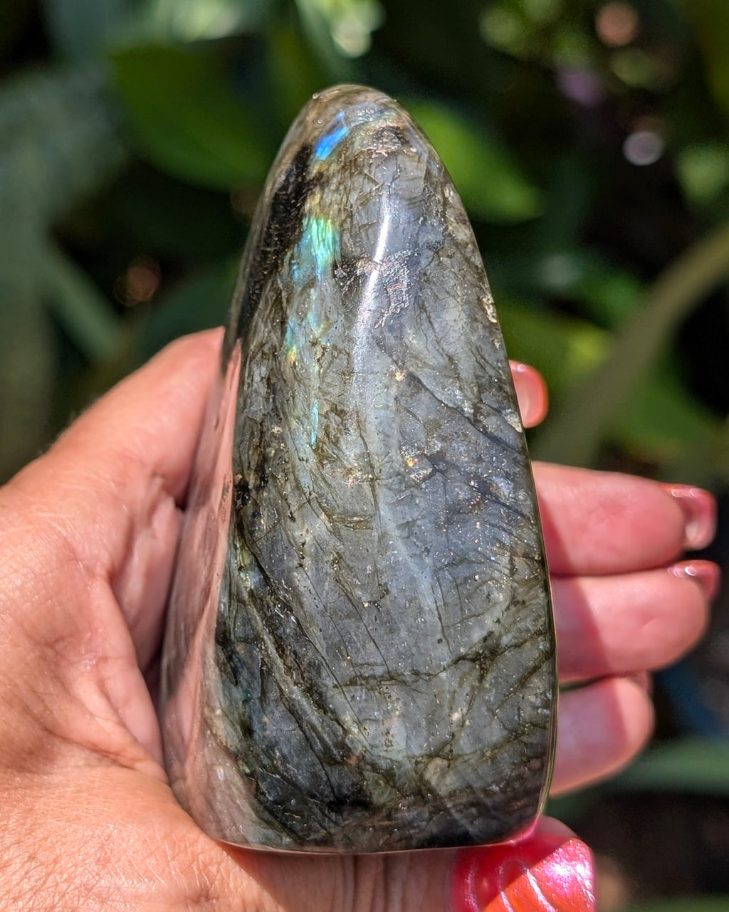 Spectrolite Labradorite Freeform - Opt. G