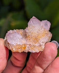 Petite Spirit Quartz - Opt. A