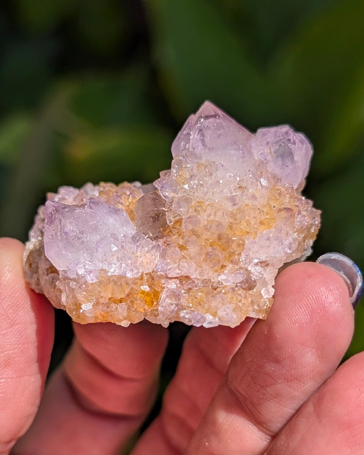 Petite Spirit Quartz - Opt. A