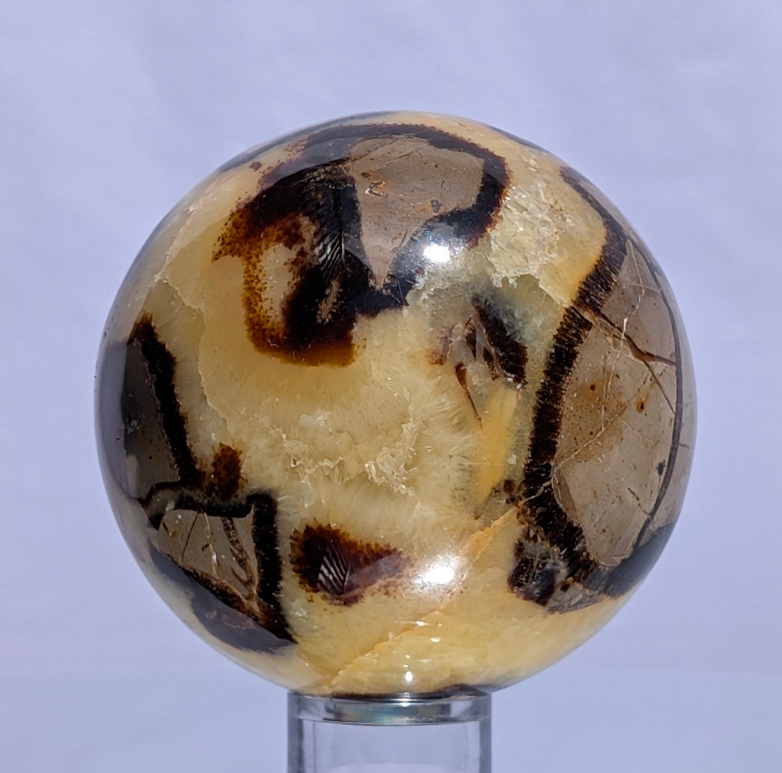 Septarian Dragon Stone Sphere A