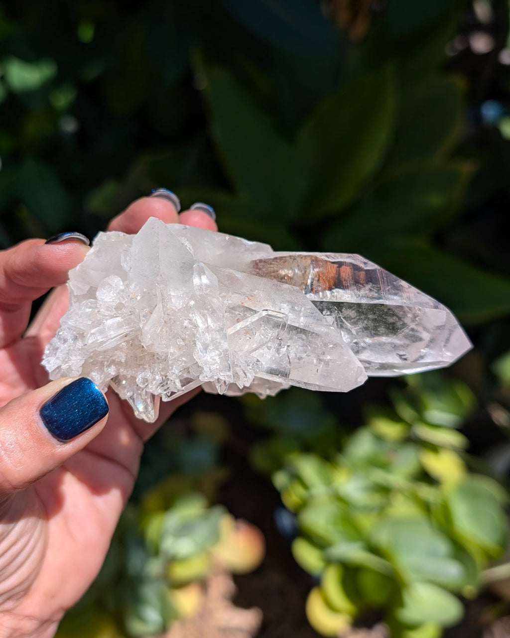 Gorgeous Brazilian Clear Quartz Cluster - Opt. B