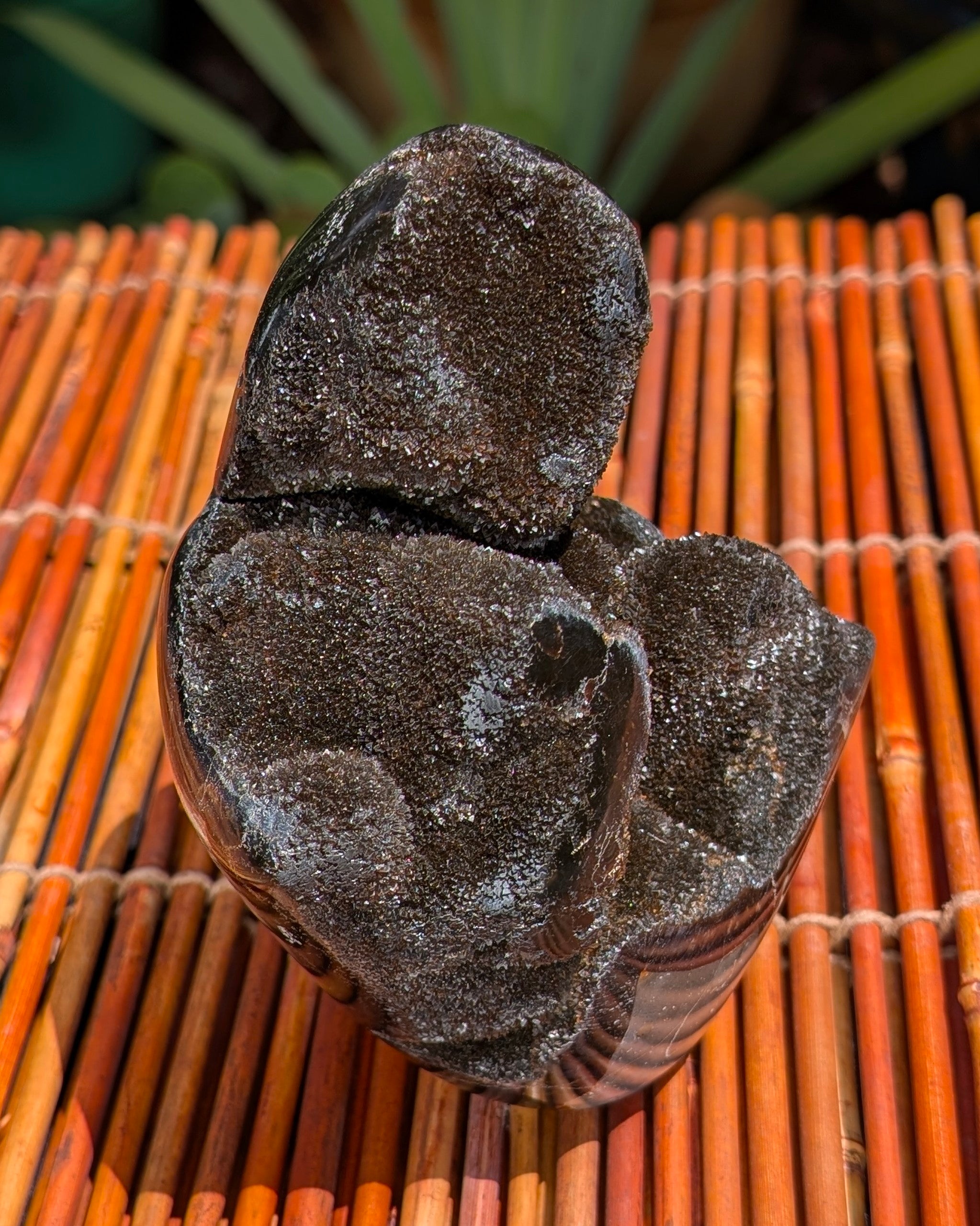 Septarian Dragon Egg C
