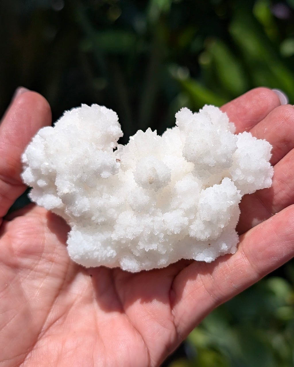 Fluorescent Aragonite Cluster I