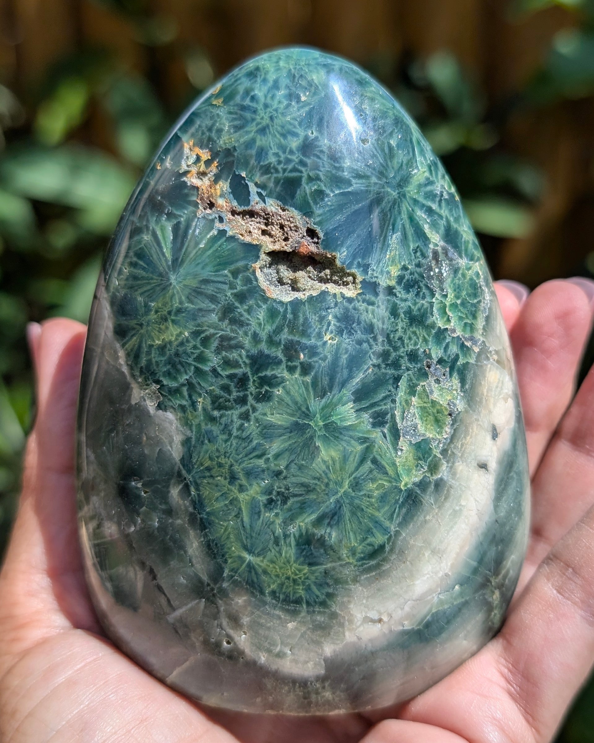 Ocean Jasper E